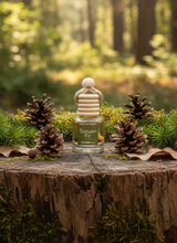 Load image into Gallery viewer, Balsam Fir Car Diffuser