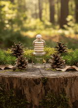 Load image into Gallery viewer, Balsam Fir Car Diffuser showcasing natural elements like pinecones and greenery in a forest setting.